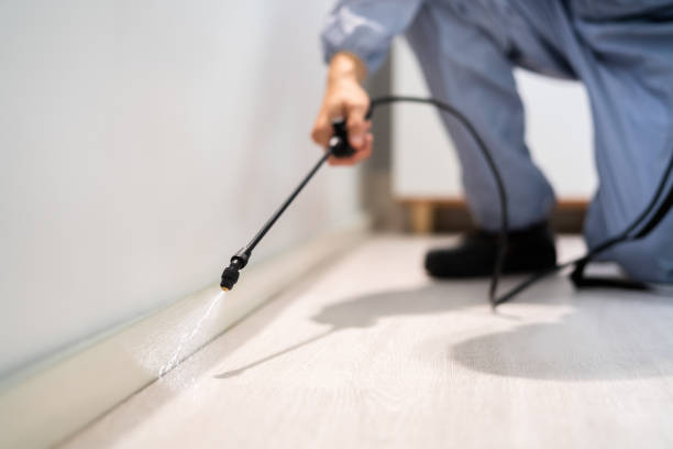 Pest Control for Restaurants in Los Alamos, CA