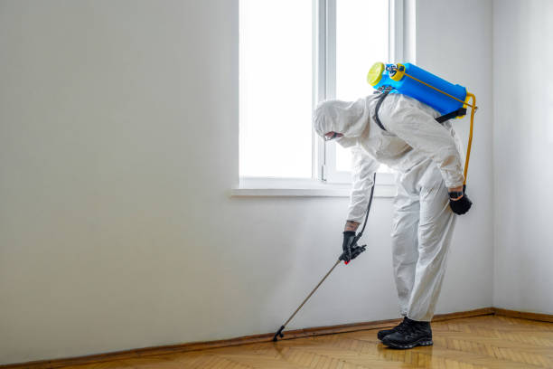 Best Best Pest Control Companies  in Los Alamos, CA