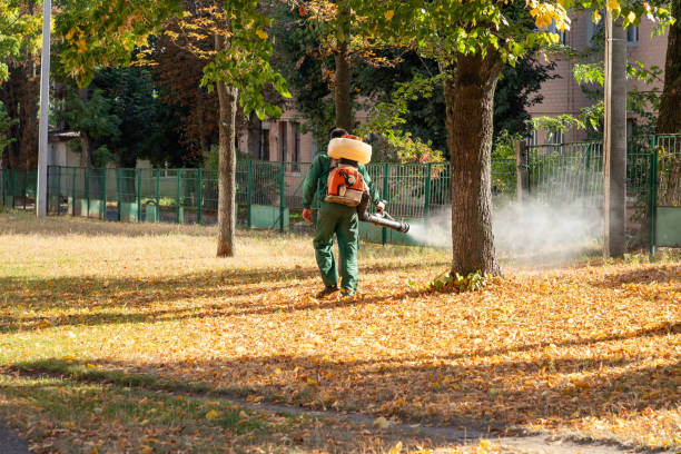 Best Bed Bug Extermination  in Los Alamos, CA