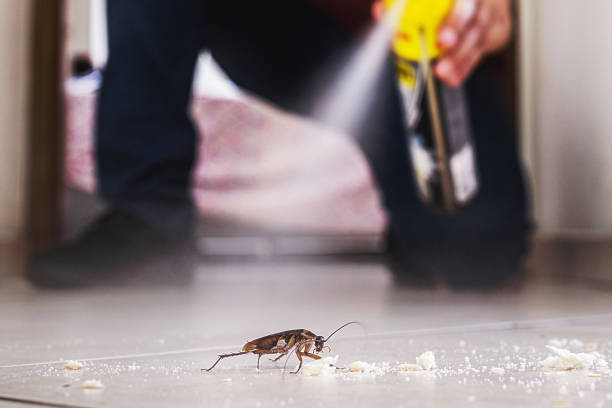 Best Cockroach Control Services  in Los Alamos, CA